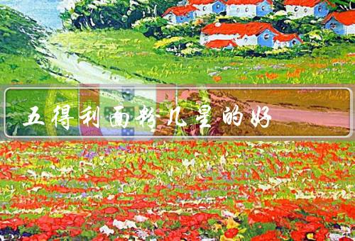 五得利面粉几星的好