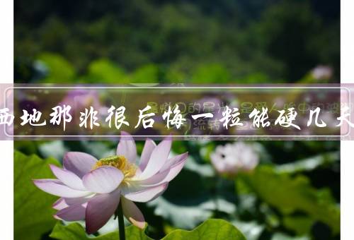 吃了西地那非很后悔一粒能硬几天