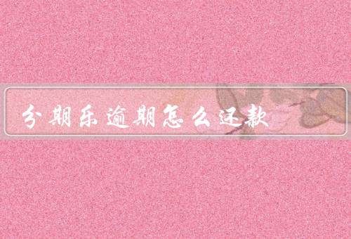 分期乐逾期怎么还款