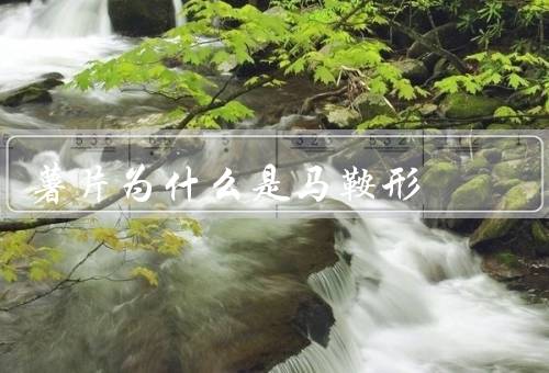 薯片为什么是马鞍形