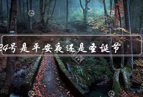 24号是平安夜还是圣诞节