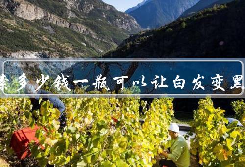 曲西达素多少钱一瓶可以让白发变黑吗