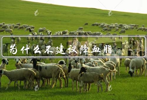 为什么不建议降血脂