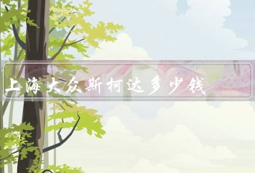 上海大众斯柯达多少钱