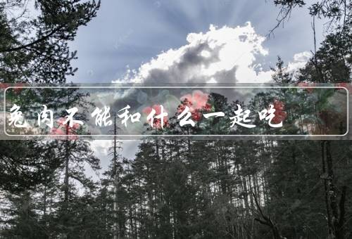 兔肉不能和什么一起吃