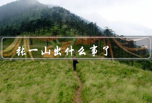 张一山出什么事了