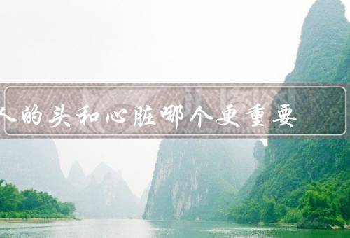 人的头和心脏哪个更重要