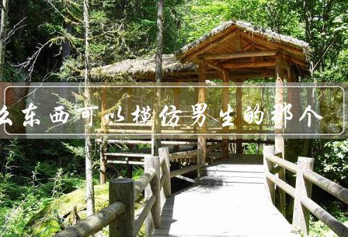 什么东西可以模仿男生的那个