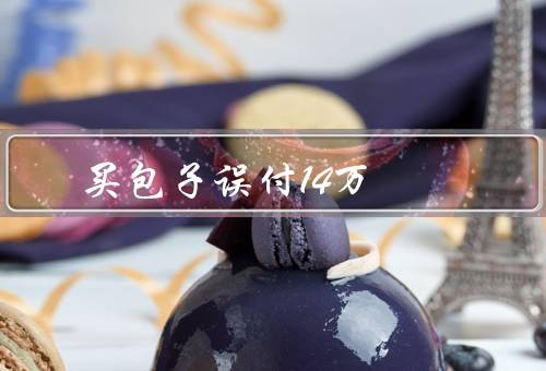 买包子误付14万