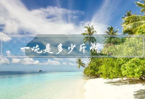 一吨是多少斤啊