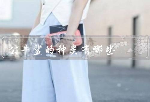 公牛鲨的种类有哪些