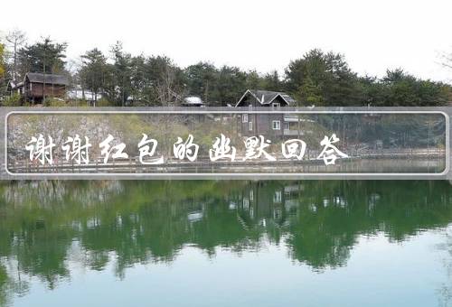 谢谢红包的幽默回答