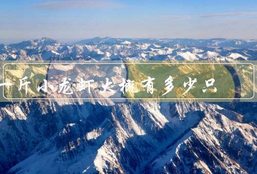 一斤小龙虾大概有多少只