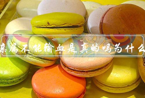 直系亲属不能输血是真的吗为什么，发生问题亡率90%风险极大