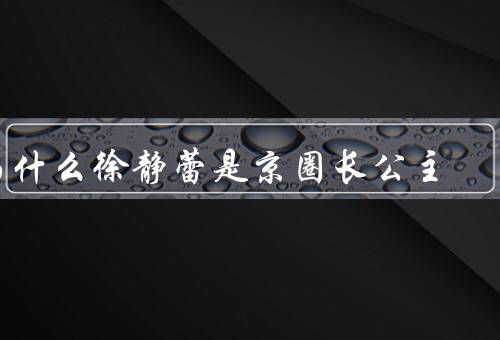 为什么徐静蕾是京圈长公主