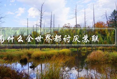 为什么全世界都讨厌苏联