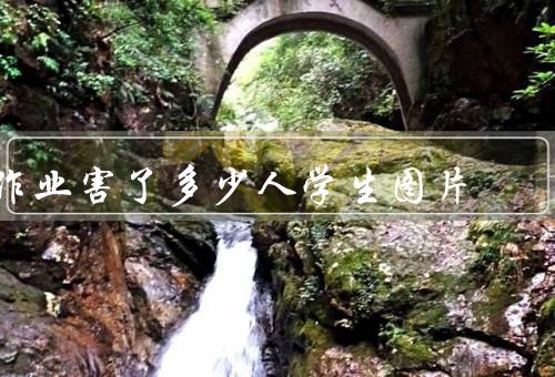 作业害了多少人学生图片