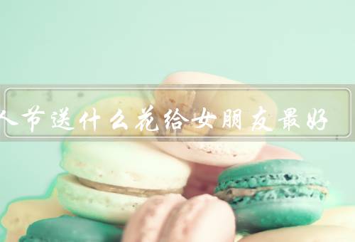 情人节送什么花给女朋友最好