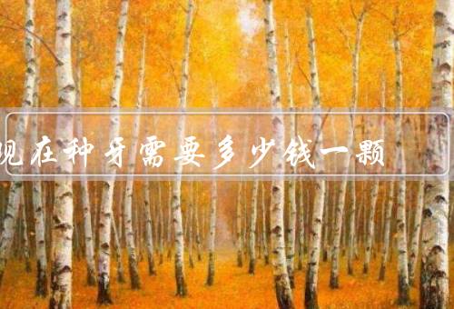 现在种牙需要多少钱一颗