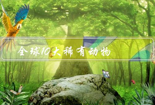 全球10大稀有动物