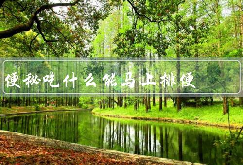 便秘吃什么能马上排便