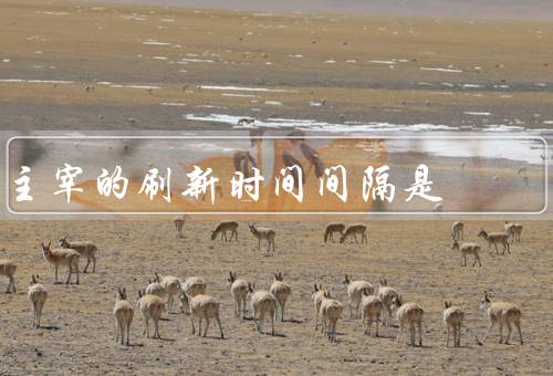 主宰的刷新时间间隔是