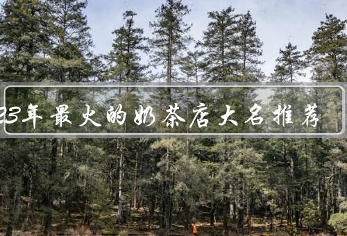 2023年最火的奶茶店大名推荐
