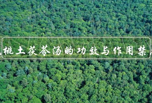 五指毛桃土茯苓汤的功效与作用禁忌