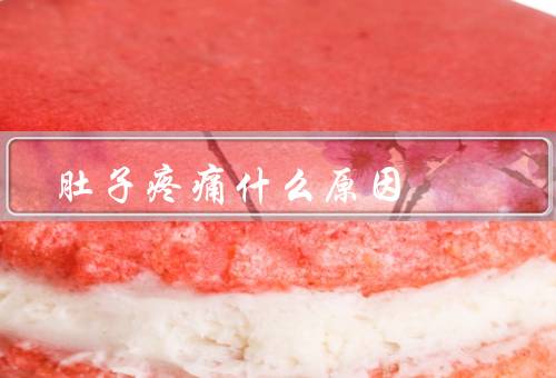 肚子疼痛什么原因