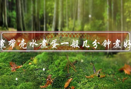 冷水煮带壳水煮蛋一般几分钟煮好