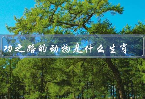 成功之路的动物是什么生肖