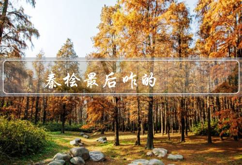 秦桧最后咋的