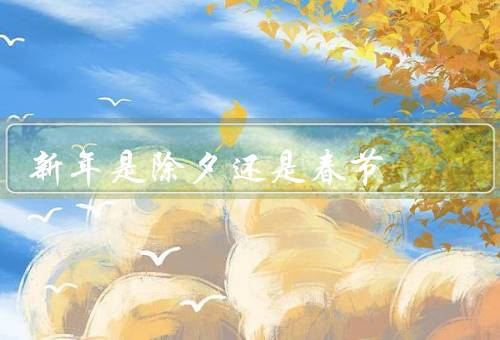 新年是除夕还是春节