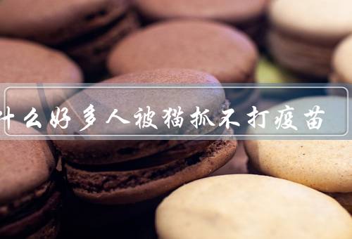 为什么好多人被猫抓不打疫苗，家猫接种过疫苗在有效期不用打
