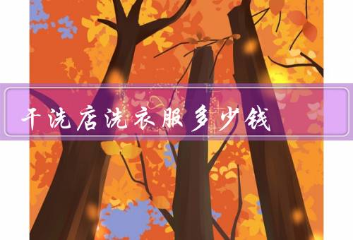 干洗店洗衣服多少钱