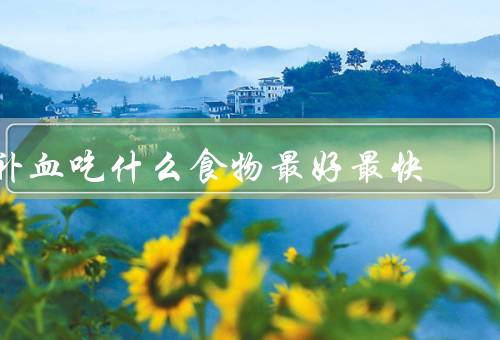 补血吃什么食物最好最快