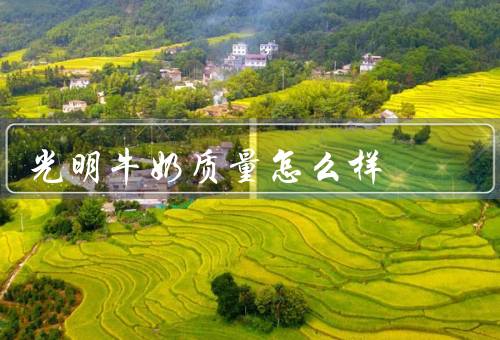 光明牛奶质量怎么样