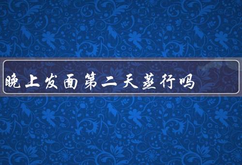 晚上发面第二天蒸行吗