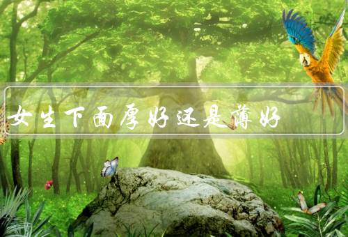 女生下面厚好还是薄好