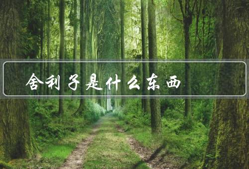 舍利子是什么东西