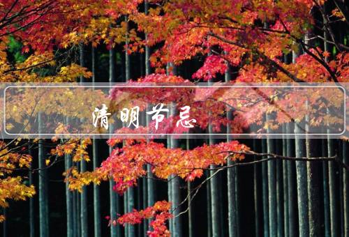 清明节忌