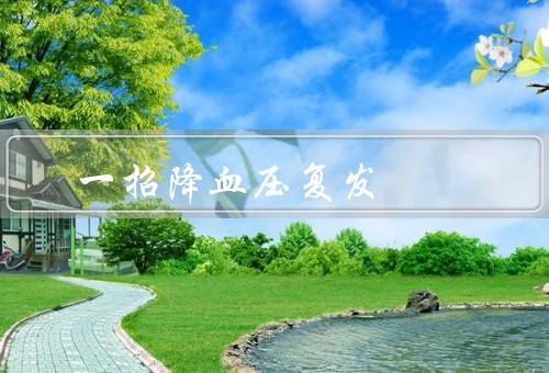 一招降血压复发