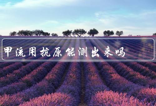 甲流用抗原能测出来吗