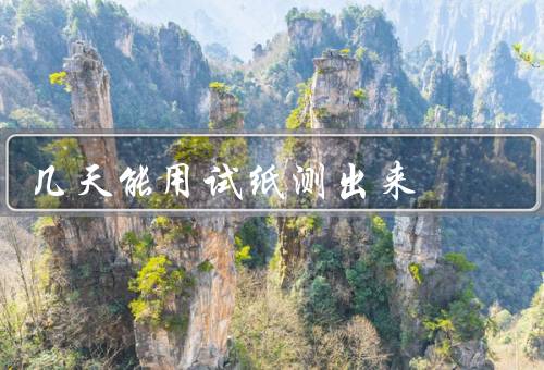 几天能用试纸测出来