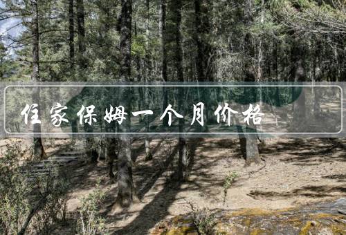 住家保姆一个月价格