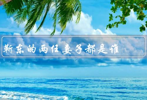 靳东的两任妻子都是谁