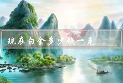 现在白金多少钱一克