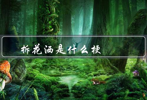 拆花洒是什么梗