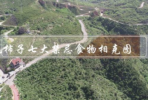 吃柿子七大禁忌食物相克图