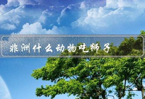 非洲什么动物吃狮子